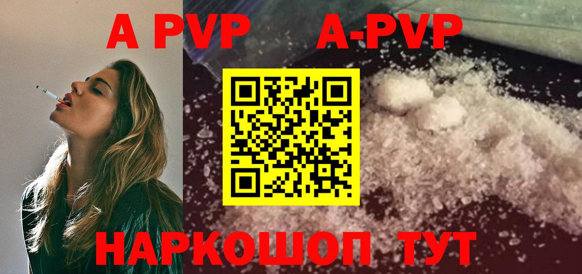 APVP СК Кингисепп
