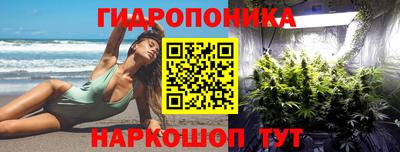 СК Краснознаменск